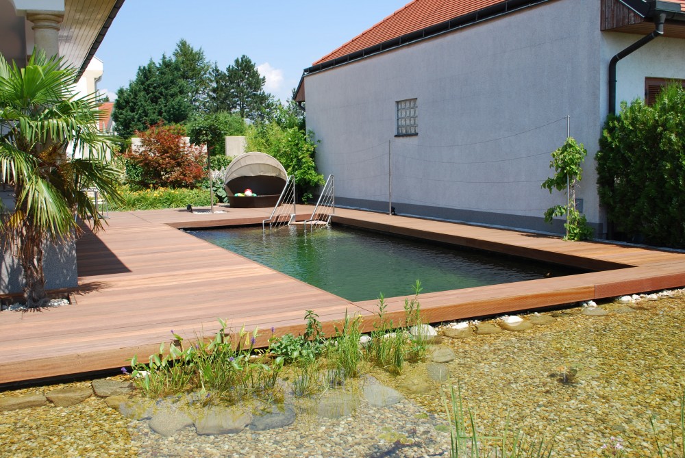 přírodní biobazén