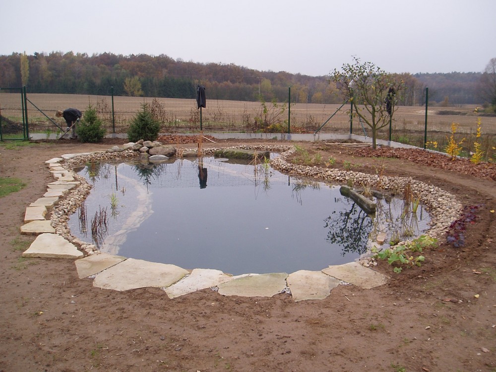 přírodní biobazén Pardubice