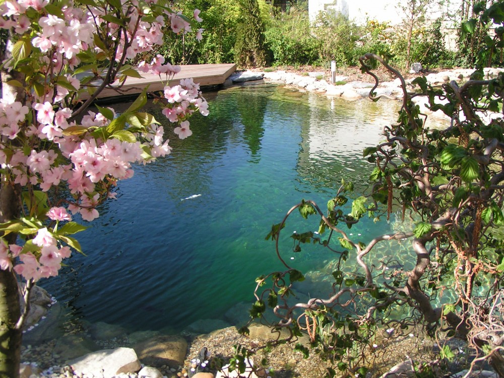 přírodní biobazén Praha