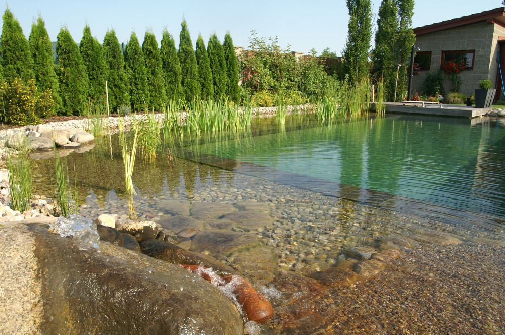 přírodní biobazén Pardubice