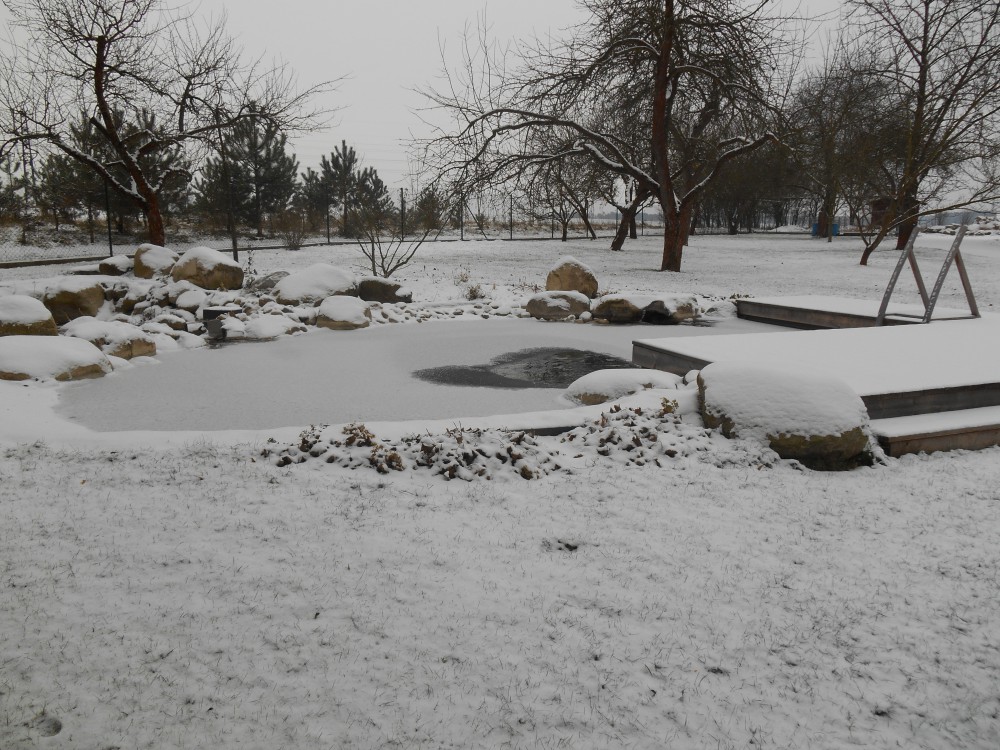 přírodní biobazén Lány na Důlku