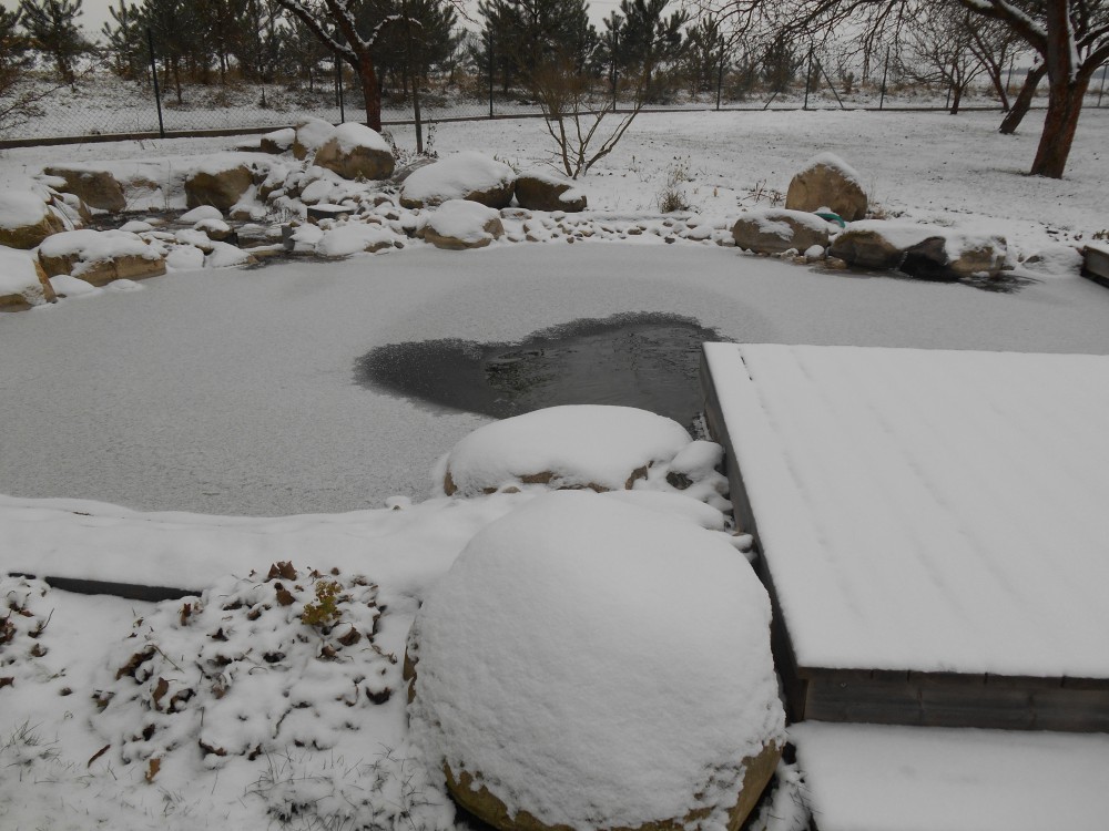 přírodní biobazén Lány na Důlku