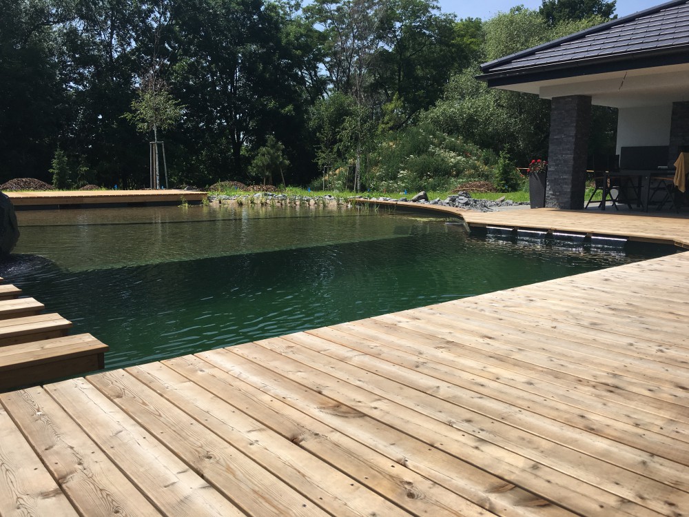 přírodní biobazén Pardubice