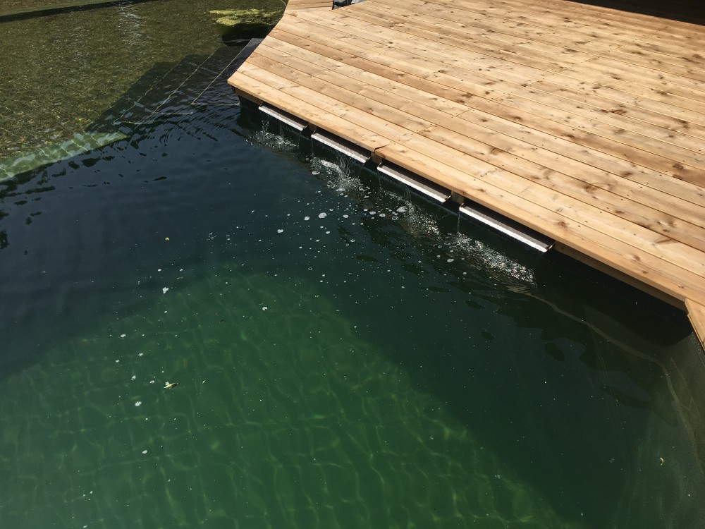 přírodní biobazén Pardubice