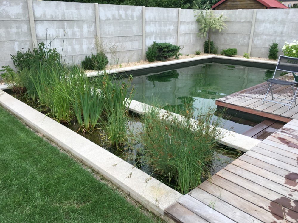 přírodní biobazén