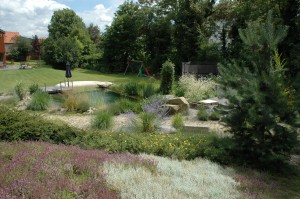 Jaký typ jezírka vybrat?